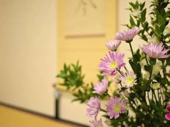 Traditional Oda, Japon Şiltesi, Özel Banyo (can't serve dinner after 8 PM checkin)