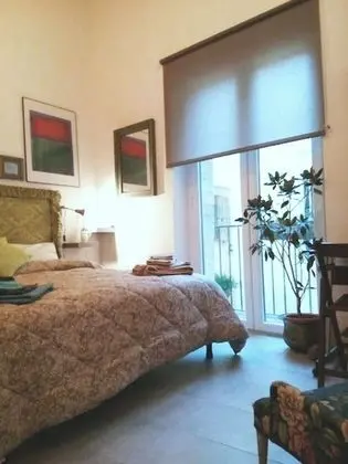 Comfort Tek Büyük veya İki Ayrı Yataklı Oda, 1 Büyük (Queen) Boy Yatak, Ortak Banyo (Klee)