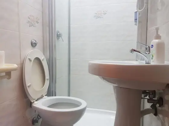 Tek Büyük veya İki Ayrı Yataklı Oda, Özel Banyo (22)