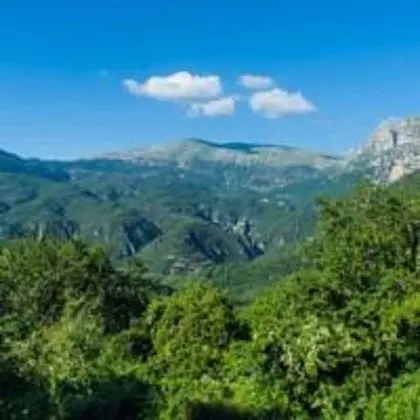 Family Süit, Dağ Manzaralı