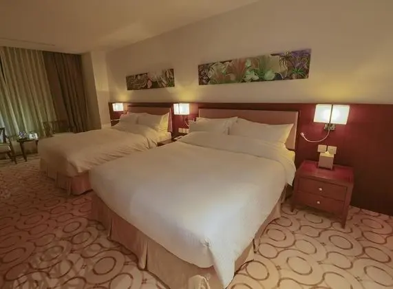 Deluxe Tek Büyük veya İki Ayrı Yataklı Oda