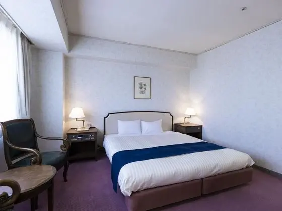 Deluxe Tek Büyük Yataklı Oda, Sigara İçilmez