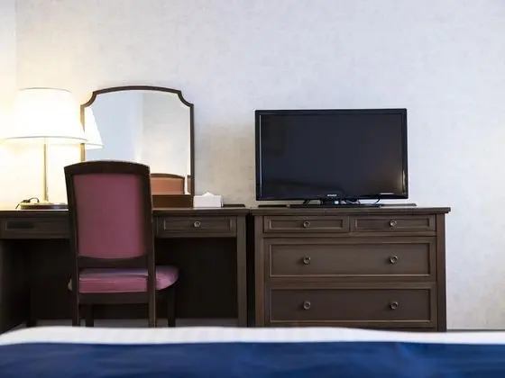 Deluxe Tek Büyük Yataklı Oda, Sigara İçilmez