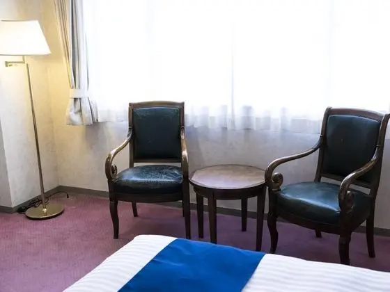 Deluxe Tek Büyük Yataklı Oda, Sigara İçilmez