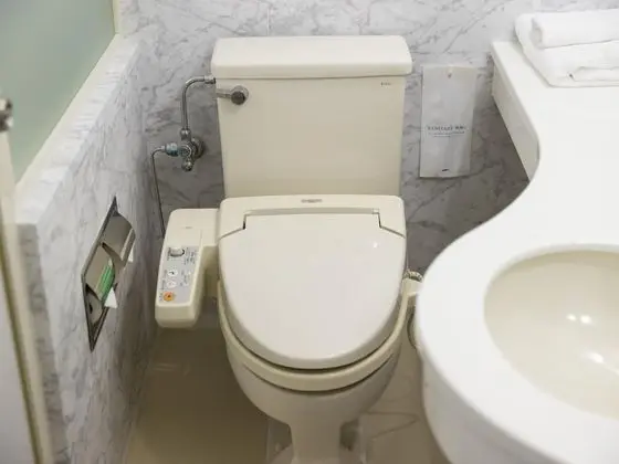 Deluxe Tek Büyük Yataklı Oda, Sigara İçilmez