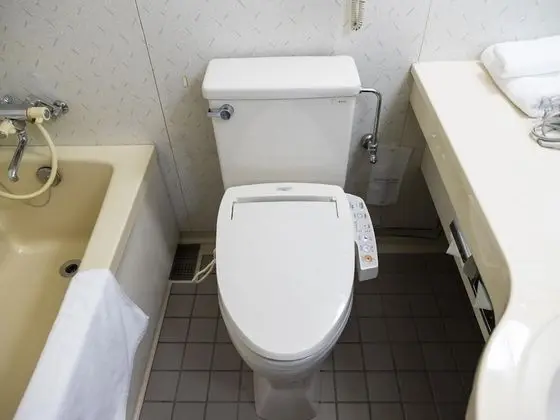 Standard Tek Büyük Yataklı Oda, Sigara İçilmez