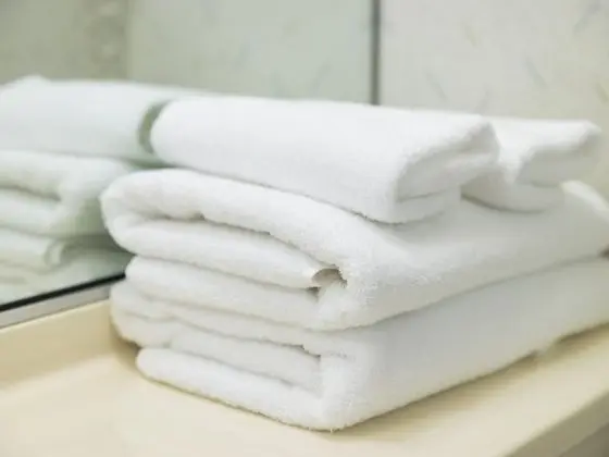 Standard Tek Büyük Yataklı Oda, Sigara İçilmez