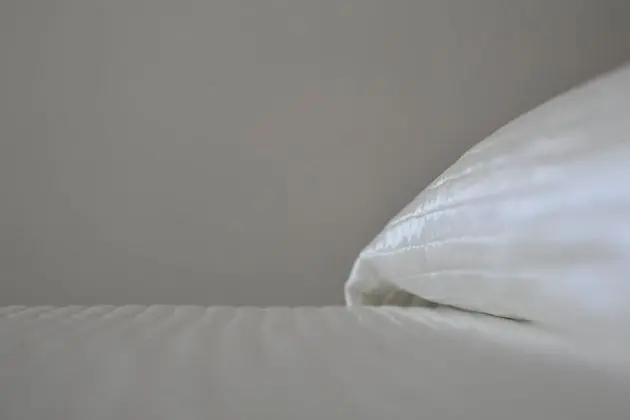 Standard Tek Büyük Yataklı Oda, 1 Çift Kişilik Yatak, Banyolu/Duşlu
