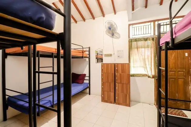Shared Dormitory, Mixed Dorm (2 Bunk Bed)