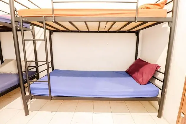 Shared Dormitory, Mixed Dorm (2 Bunk Bed)