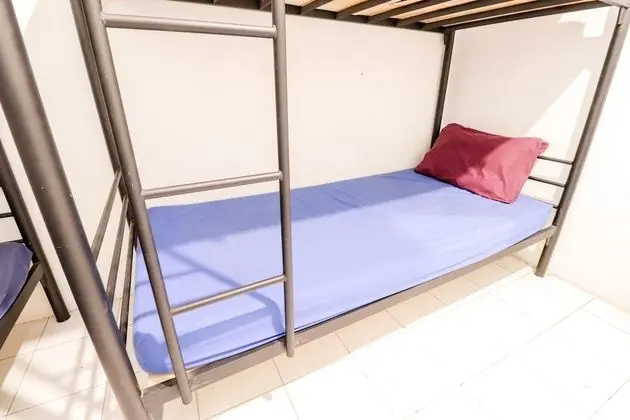 Shared Dormitory, Mixed Dorm (2 Bunk Bed)