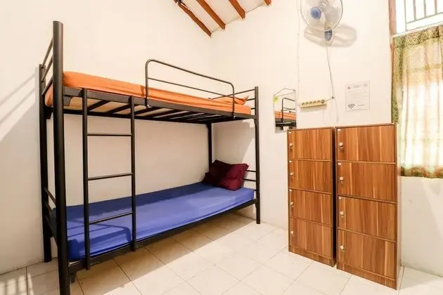 Shared Dormitory, Mixed Dorm (2 Bunk Bed)