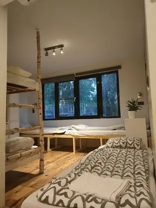 Basic Ortak Ranzalı Oda (1 Single Bed)
