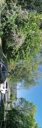 Classic İki Ayrı Yataklı Oda