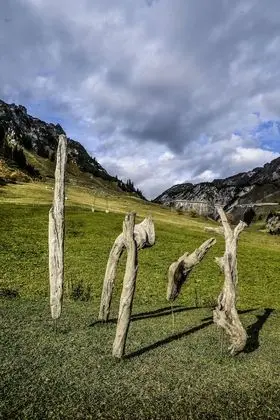Luxury Tek Büyük veya İki Ayrı Yataklı Oda (50m²)