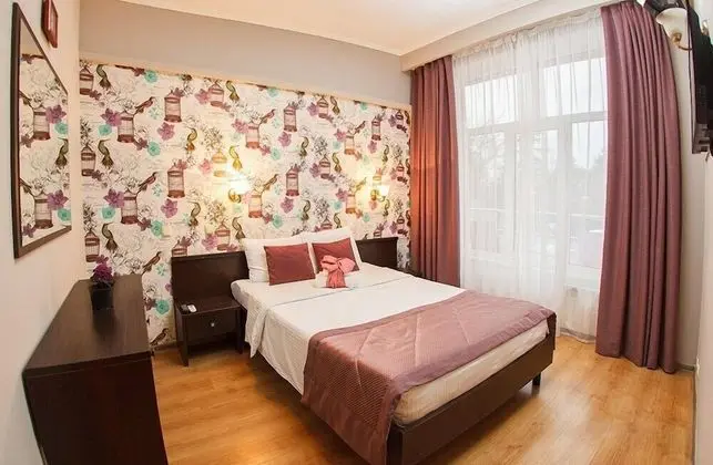 Superior Tek Büyük Yataklı Oda (2-komn. Standard)