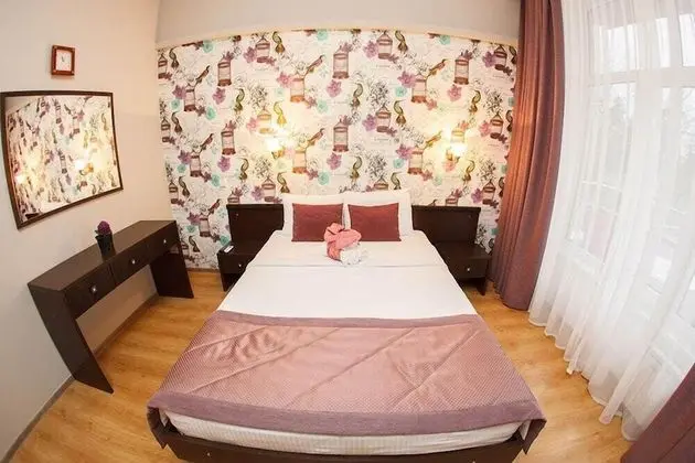 Superior Tek Büyük Yataklı Oda (2-komn. Standard)