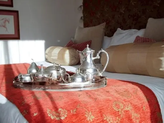 Luxury Tek Büyük veya İki Ayrı Yataklı Oda, Bahçeli