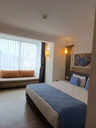 Standart Kara Manzaralı