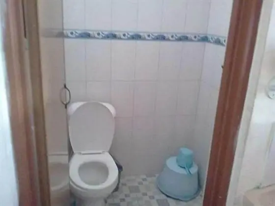 Süit