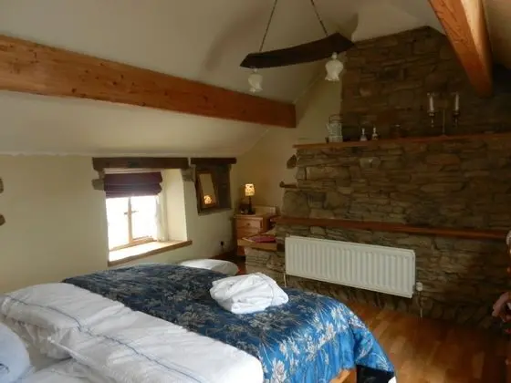 Tek Büyük Yataklı Oda, Ortak Banyo (Super King)