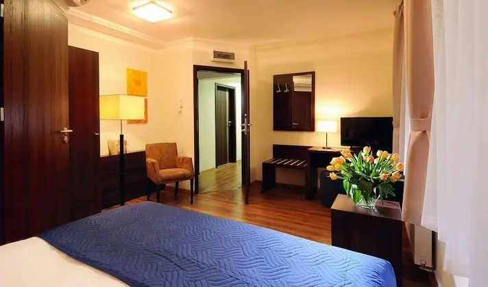 Standard Tek Büyük Yataklı Oda, 1 Çift Kişilik Yatak