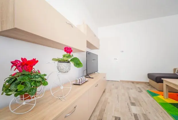 Junior Suit Standard