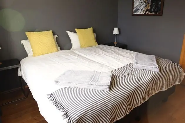 Deluxe Tek Büyük Yataklı Oda, Ortak Banyo