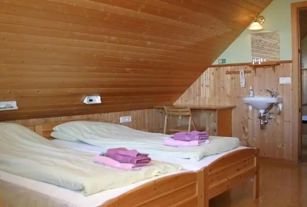 Tek Büyük Yataklı Oda, 1 Çift Kişilik Yatak, Ortak Banyo