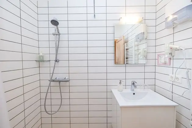 Tek Büyük Yataklı Oda, 1 Çift Kişilik Yatak, Özel Banyo