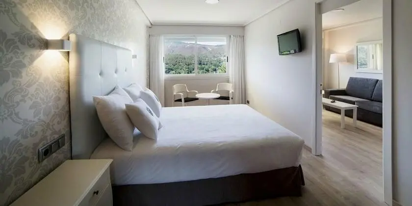 Standard Büyük Yataklı Tek Kişilik Oda (Single Use)