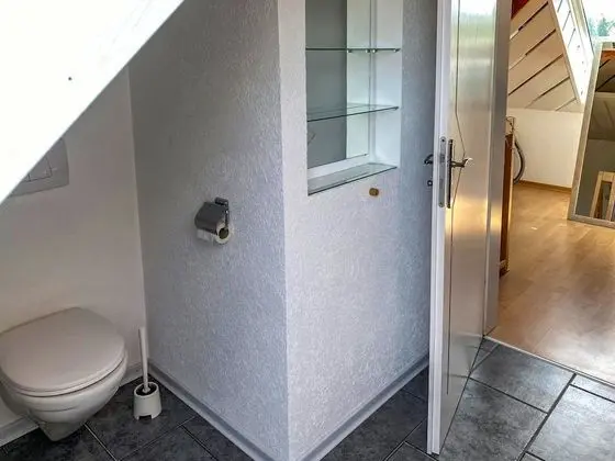 Ev