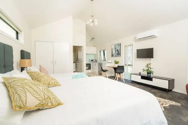 Big Studio House A1
