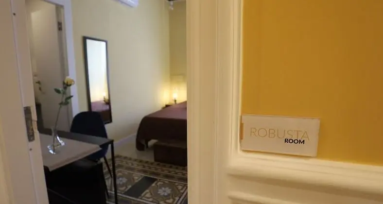 Tek Büyük Yataklı Oda, Özel Banyo (Robusta)