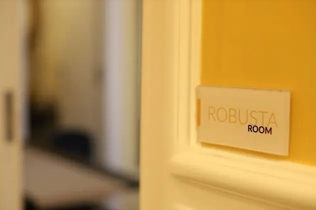 Tek Büyük Yataklı Oda, Özel Banyo (Robusta)