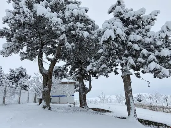 Taş Oda