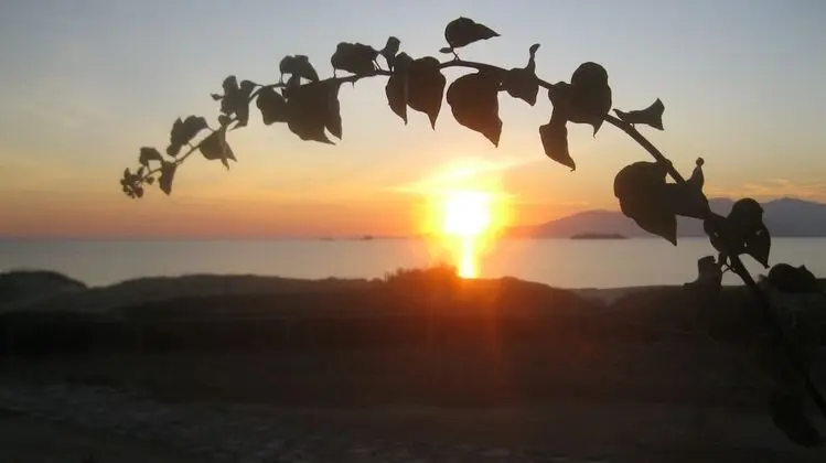 Stüdyo, Balkon, Deniz Manzaralı