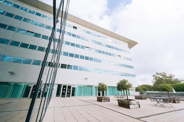 Executive Tek Büyük Yataklı Oda
