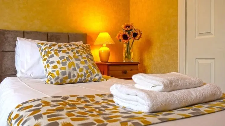 Classic Tek Büyük Yataklı Oda, Banyolu/Duşlu, Bahçe Manzaralı (Room 3)