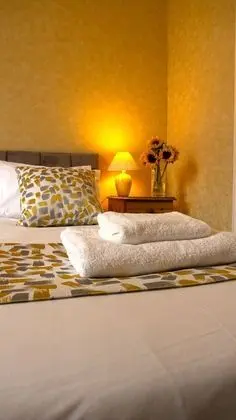 Classic Tek Büyük Yataklı Oda, Banyolu/Duşlu, Bahçe Manzaralı (Room 3)