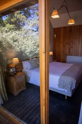 Oda, 1 En Büyük (King) Boy Yatak