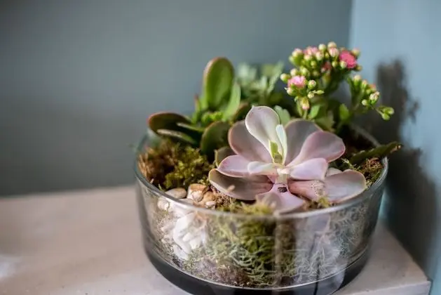 Classic Apart Daire, Sigara İçilmez