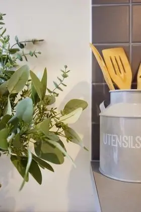 Standard Stüdyo, 1 Çift Kişilik Yatak