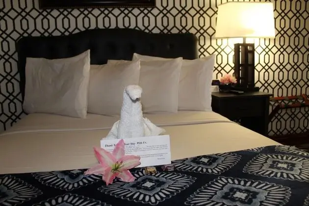 Basic Tek Kişilik Oda, 1 Büyük (Queen) Boy Yatak