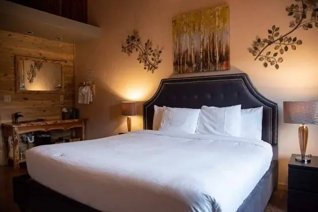 Deluxe Oda, 1 En Büyük (King) Boy Yatak