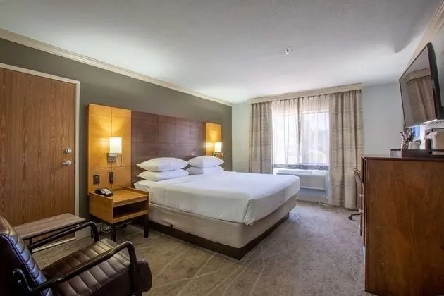 Oda, 1 En Büyük (King) Boy Yatak, Sigara İçilmez (Top Floor, Small Room)