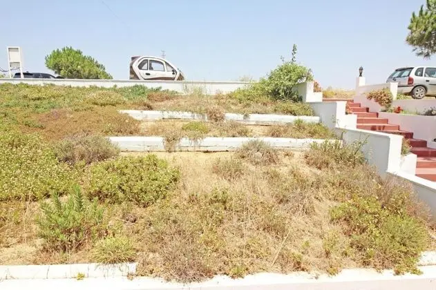 Triple, Bahçe Manzaralı