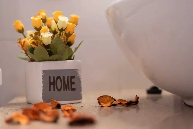 Design Apart Daire, Şehir Manzaralı