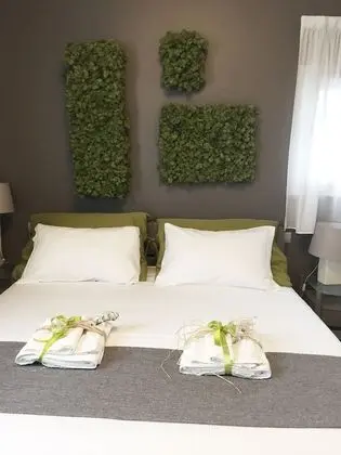 Deluxe Tek Büyük Yataklı Oda (Green)