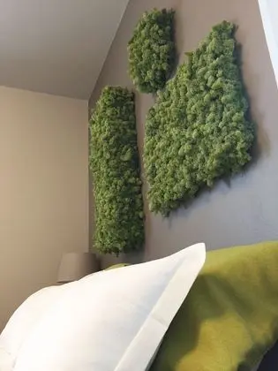 Deluxe Tek Büyük Yataklı Oda (Green)